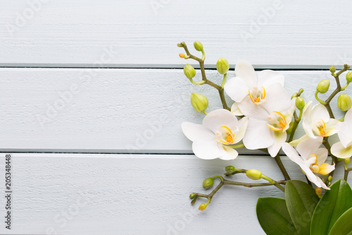 Fototapeta Naklejka Na Ścianę i Meble -  Beauty orchid on a gray background. Spa scene.