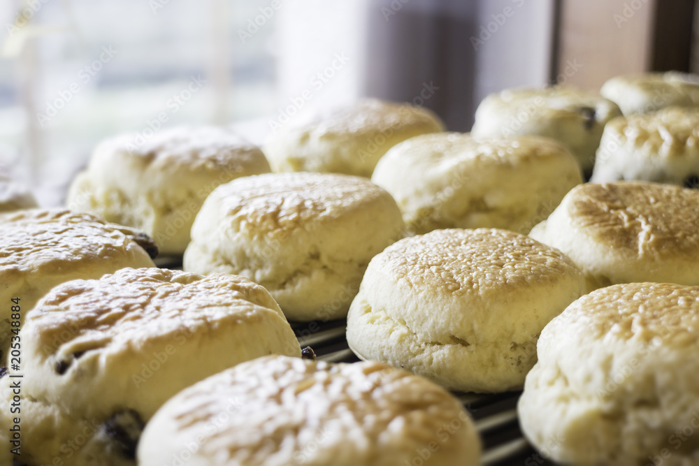 Homemade fresh classic scone for sale