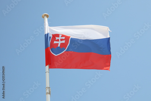 Wallpaper Mural slovakia flag on a mat in the wind and blue sky