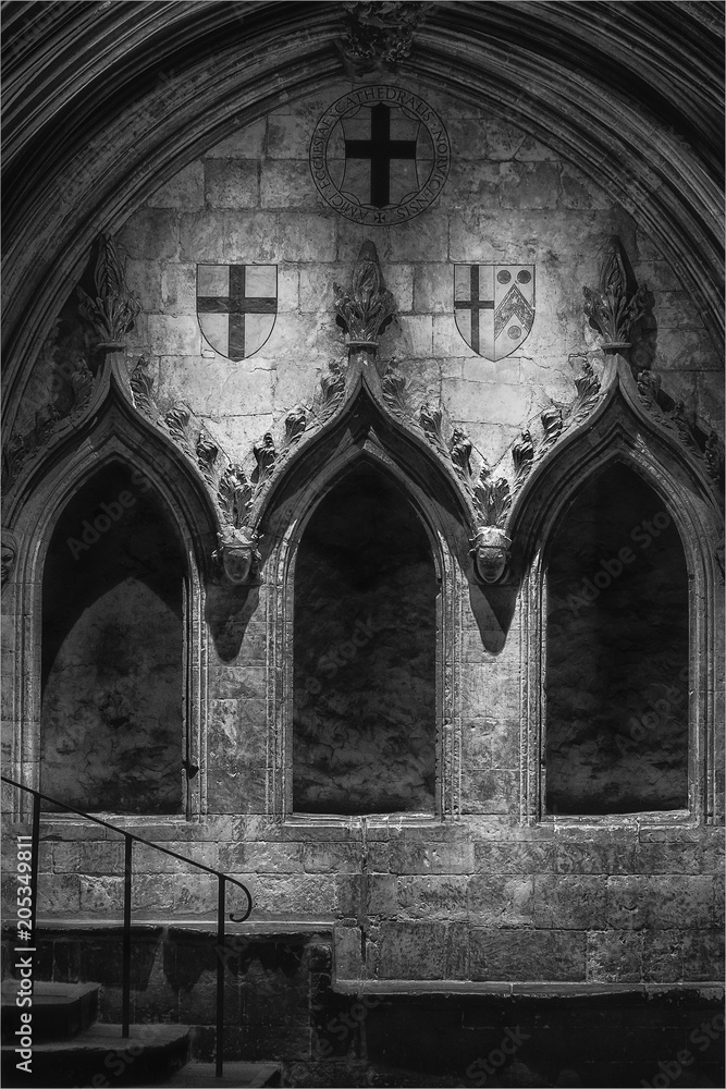 Obraz premium Norwich Cathedral, cloisters