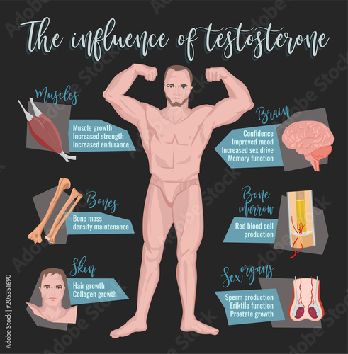 Testosterone Effects Infographics