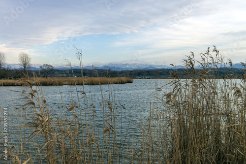 冬の湖 木場潟と白山