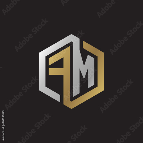 Initial letter FM, looping line, hexagon shape logo, silver gold color on black background