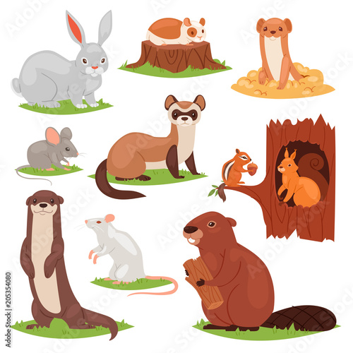 Forest animals vector cartoon animalistic characters squirrel in hollow and wild beaver or bunny hare in woodland illustration set of gnawers mouse or rat isolated on white background