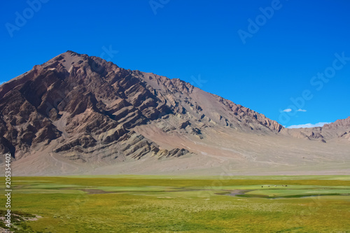 alpine pasture; winding riverbed in vast valley, Tibet, wide angle shot