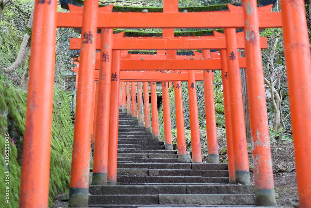 Traditional Japanese gate 