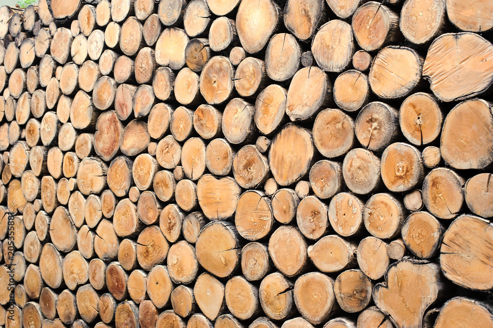 round teak wood stump background can use as wall paper round teak wood stump background can use as wall paper
