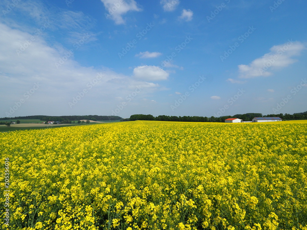 Frühling im Dachauer Hinterland StockFoto Adobe Stock