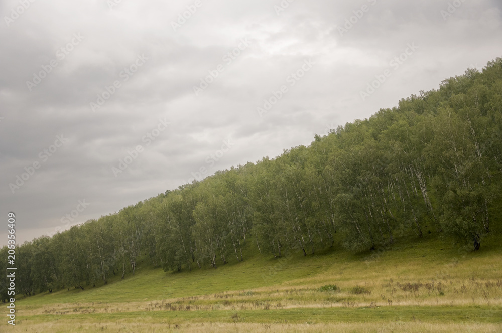 Fototapeta premium Grey clouds in the early autumn sky over green fields, trees, forests and huge mountains close. A lot of meadow herbs around. Evening, before rain. Travel through nature landscape