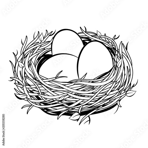 Nest with golden egg coloring vector illustration