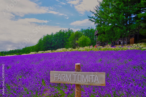 Sign of Tomita farm with flower field where is famous farmland has a landmark of lavender and various flower fields arrange in seven color like a rainbow is call irodori farm.