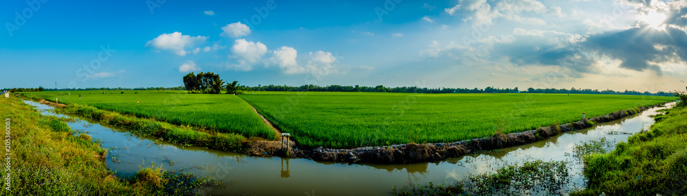 Vietnam Vietnam