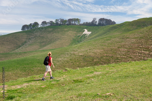 Foto Walking Cherhill White Horse