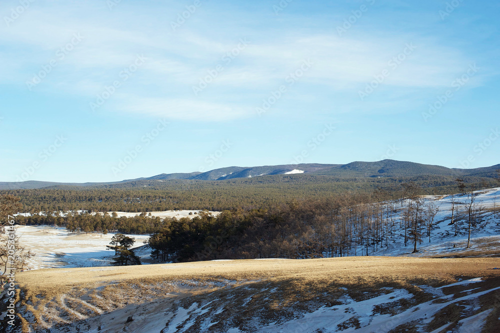 Winter landscape with trees on Baikal lake, Olkhon island, Siberia, Russia