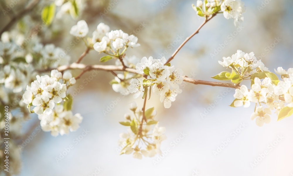 Spring. Spring.