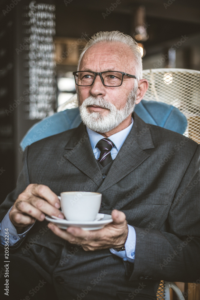 Portrait of senior businessmen at coffee break. Portrait of senior businessmen at coffee break.