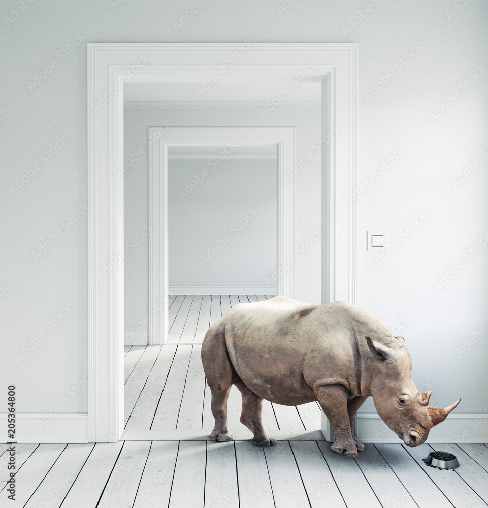 Fototapeta premium Rhino in the room.