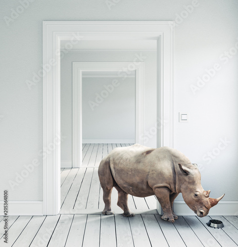 Rhino in the room.