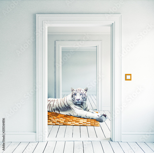 white tiger on the orange carpet