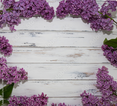 Flowers of lilac.White old background with space for text.Purple color.