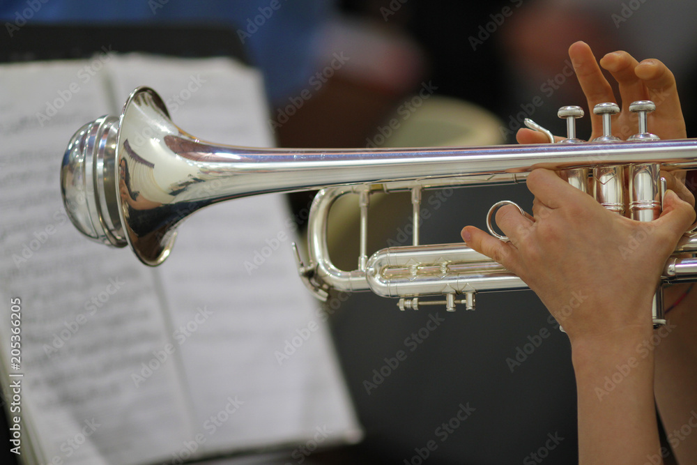 Obraz premium trumpet player