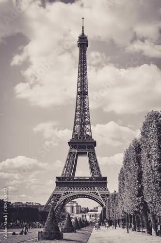The Eiffel Tower   a Famous Iron Sculpture  Symbol of Paris