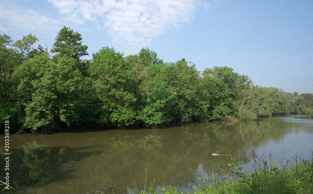 loing river banks and nature reserve of the Sorques plain in Île de France loing river banks and nature reserve of the Sorques plain in Île de France
