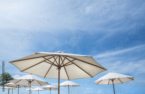 The beach umbrellas against the blue sky, sun parasols, thatched parasols, © Jeff