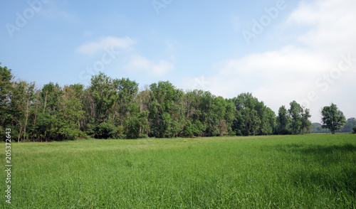 Nature reserve of the Sorques plain in Île de France