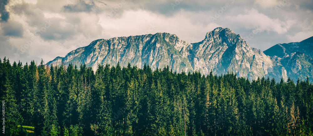 Fototapeta premium Giewont Mountain, Inspiring Mountains Landscape in summer Tatras, Poland