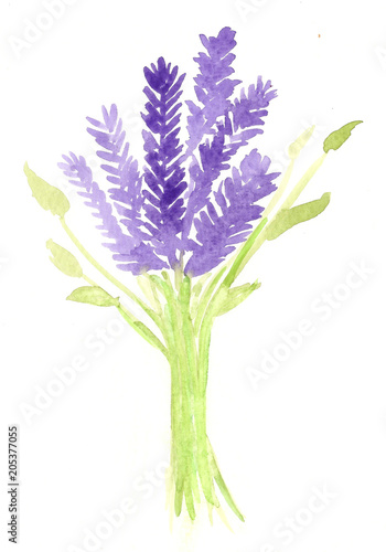 watercolor lavender bouquet
