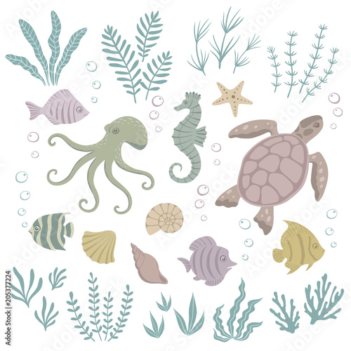 Set of sea animals and seaweed. Vector illustration.
