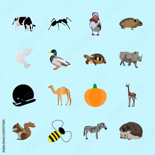 Fototapeta Naklejka Na Ścianę i Meble -  animals icons set