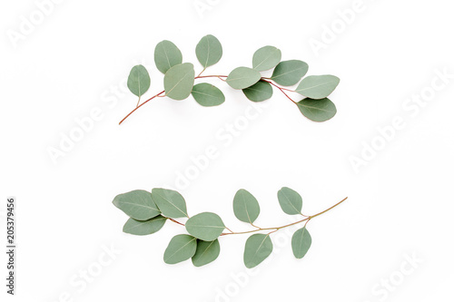Wreath frame made of branches eucalyptus isolated on white background. lay flat, top view