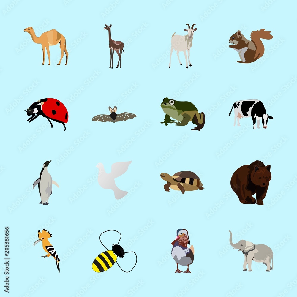 Obraz premium animals icons set
