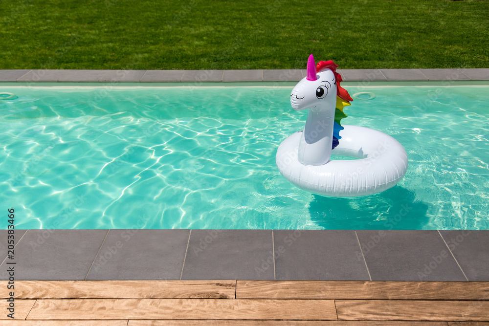 piscine licorne gonflable terrasse en bois et pelouse - obrazy, fototapety, plakaty 