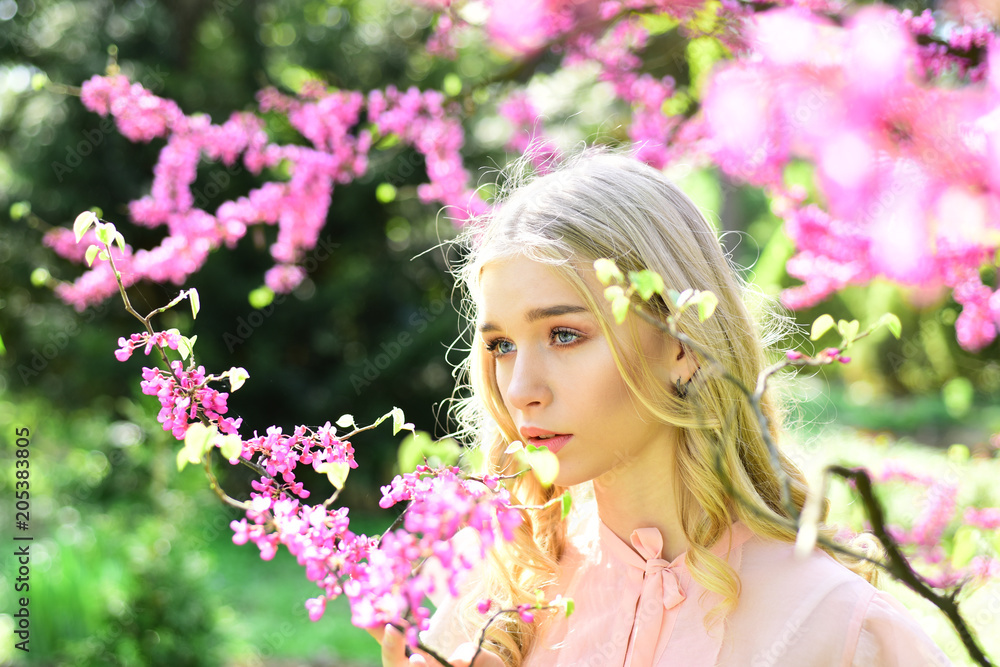 Fototapeta premium Girl on dreamy face, tender blonde near violet flowers of judas tree, nature background. Young woman enjoy flowers in garden, defocused. Lady walks in park on sunny spring day. Spring bloom concept.