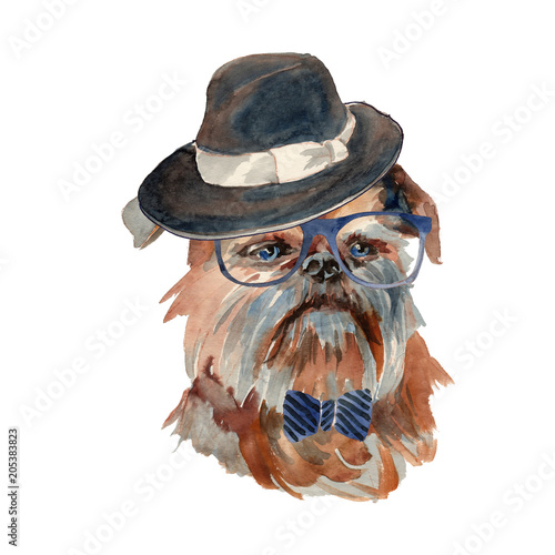 Brussels griffon dog - hand painted  isolated on white background watercolor hipster dog portrait