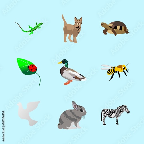 animals icons set