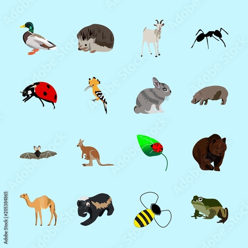 Fototapeta Naklejka Na Ścianę i Meble -  animals icons set