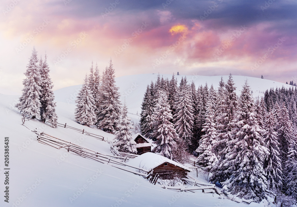 Obraz premium Cozy wooden hut high in the snowy mountains. Great pine trees on the background. Abandoned kolyba shepherd. Cloudy day. Carpathian mountains, it is snowing. Ukraine, Europe