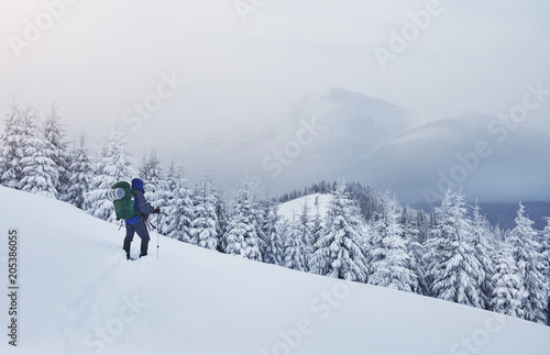 Snowshoe walker running in powder snow with beautiful sunrise light. Outdoor winter activity and healthy lifestyle