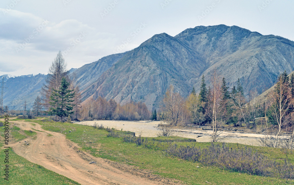 landscape with a dirt road in Gorny Altai