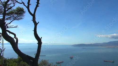 Panning from Trees on Rock of Gibraltar to Port