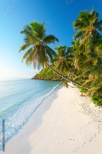 Pristine Beach in Seychelles © Beboy