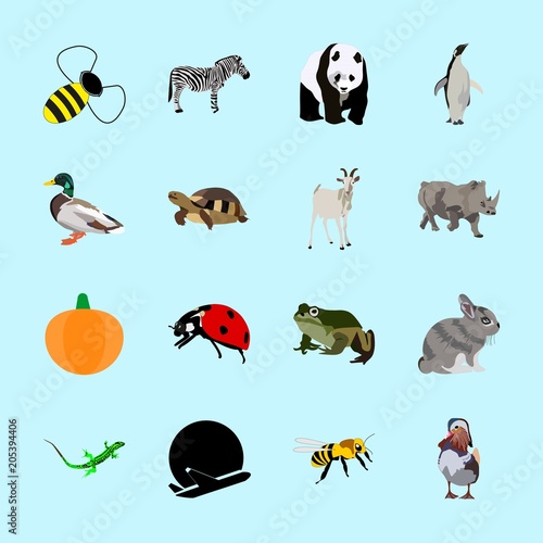 animals icons set © Orxan