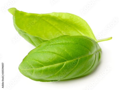 fresh herb, fresh basil leaves isolated on white