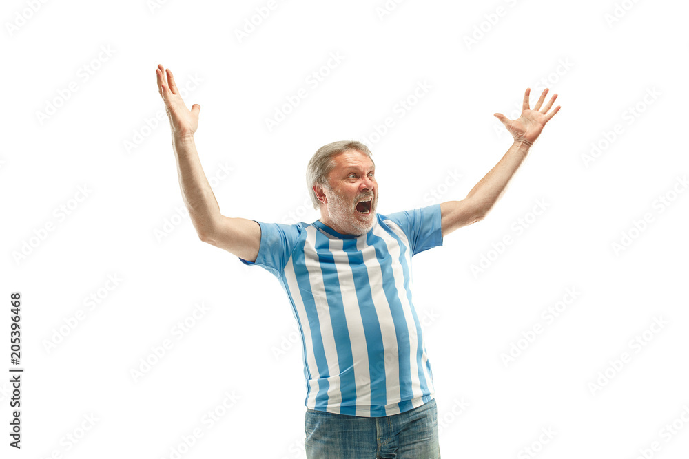 The Argentinean soccer fan celebrating on white background The Argentinean soccer fan celebrating on white background