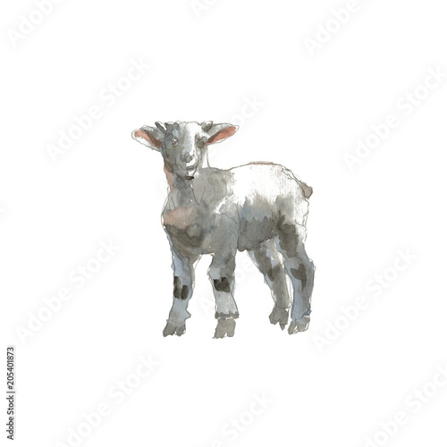 The Lamb portrait