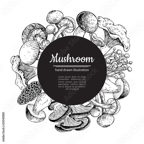 Mushroom hand drawn vector frame. Isolated Sketch organic food d